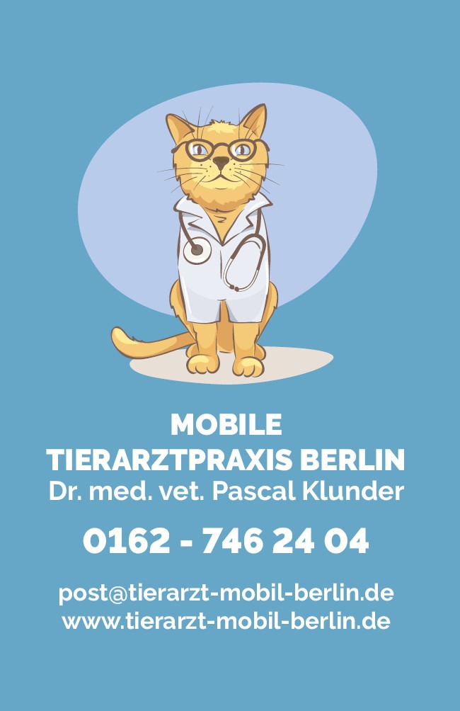 Tierarzt Hausbesuch Berlin Sofort Sonntag Dr. Klunder 0162-7462404