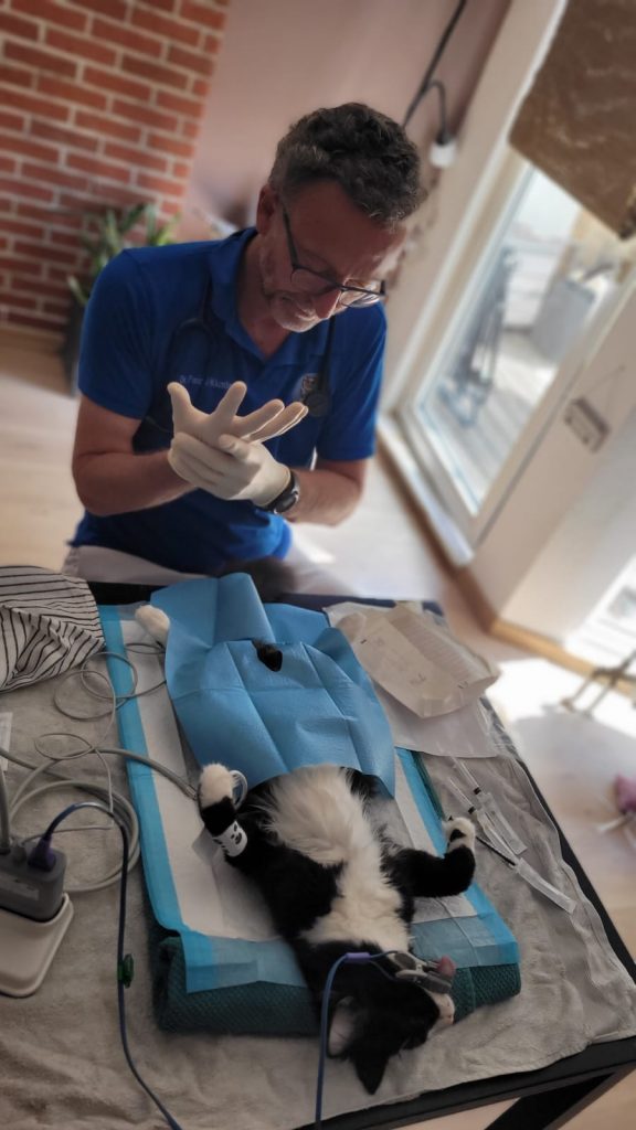 Tierarzt Hausbesuch mobil Berlin Hund Katze Heimtiere Dr. Pascal Klunder Tierarzt Hausbesuch Berlin Sofort Sonntag Dr. Klunder 0162-7462404